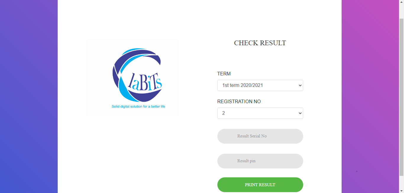 Custom E-commerce Platforms
